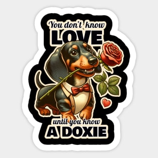 Dachshund Valentine's day Sticker